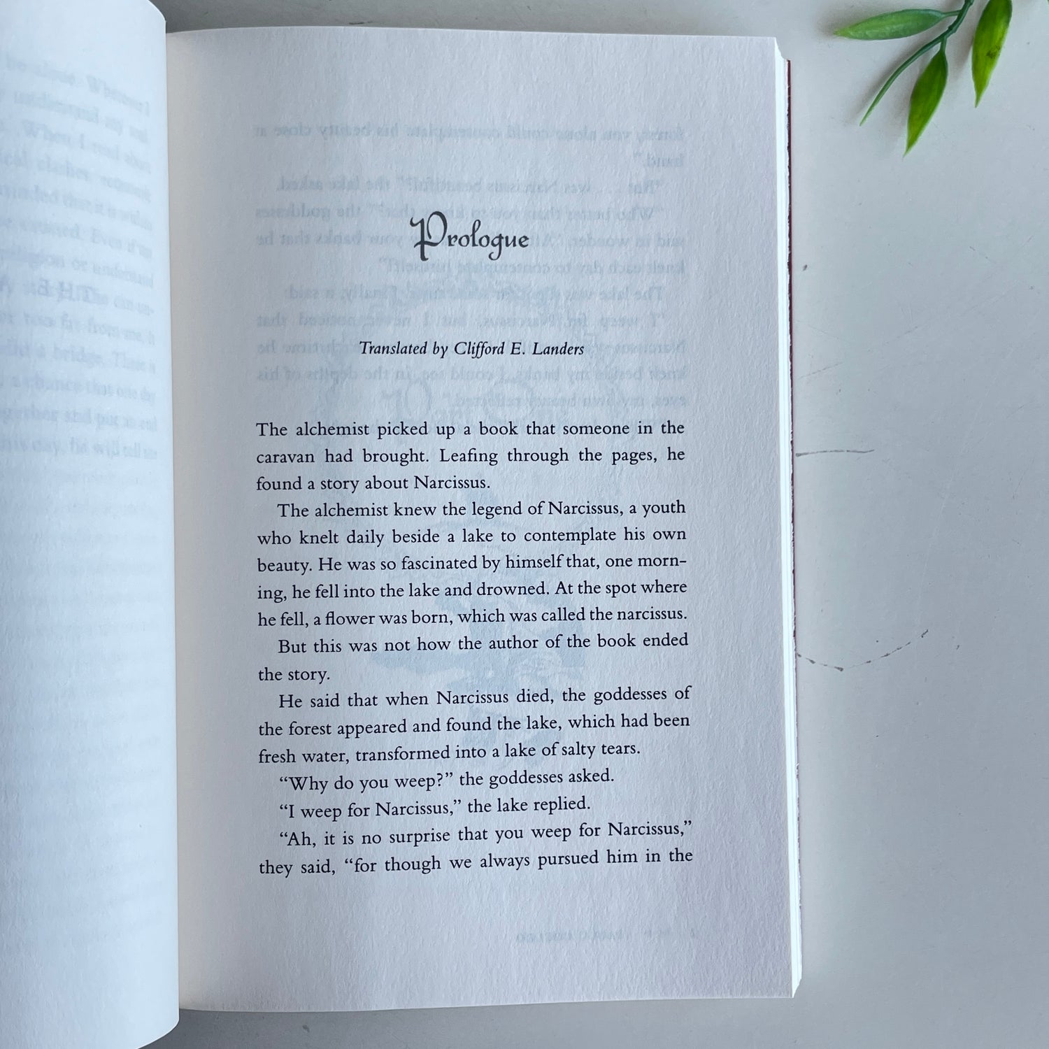 The Alchemist (softcover) Paulo Coelho