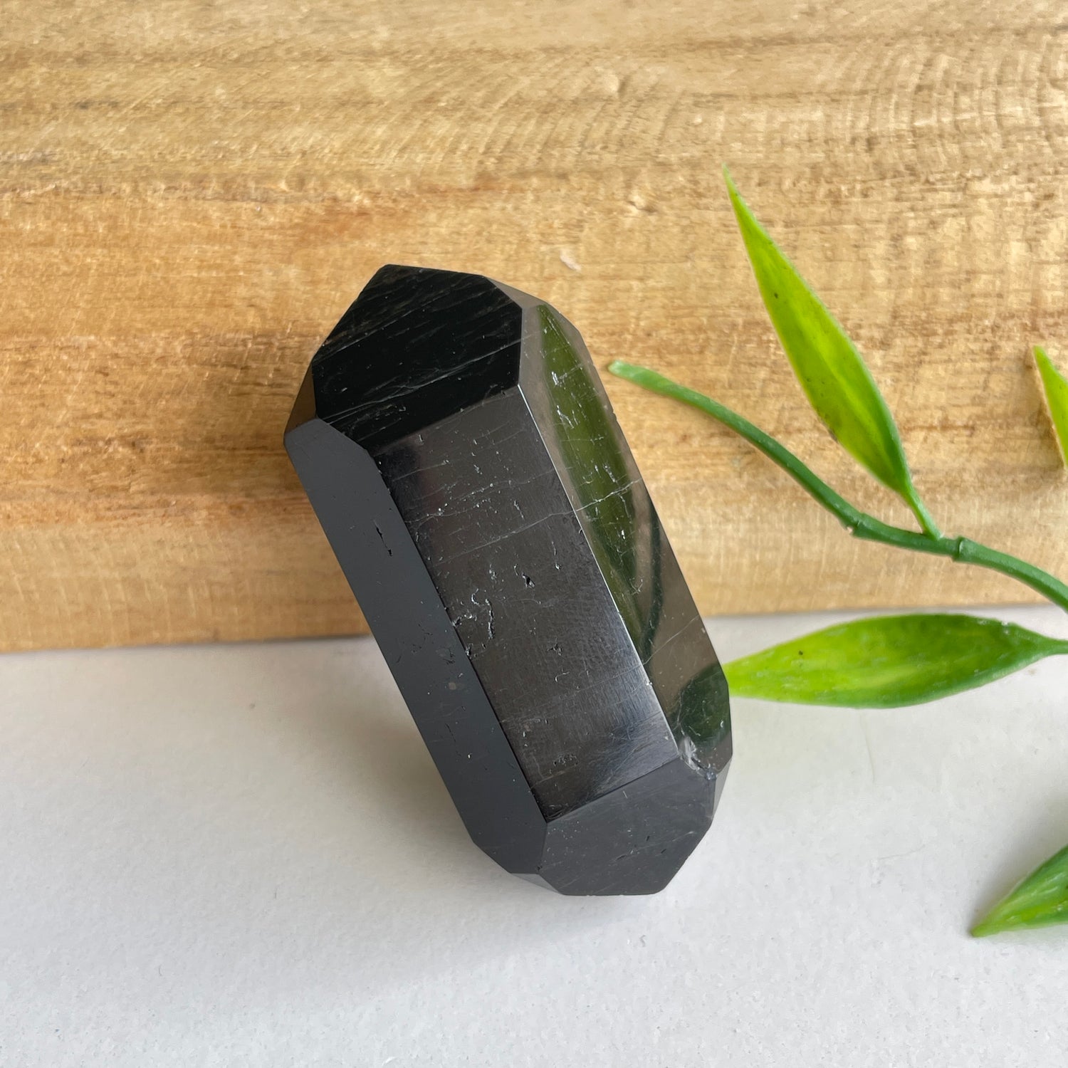 Black Tourmaline Double Terminator 4.8cm