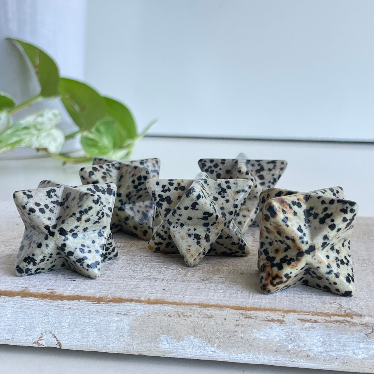 Dalmatian Jasper Merkaba 2.5cm
