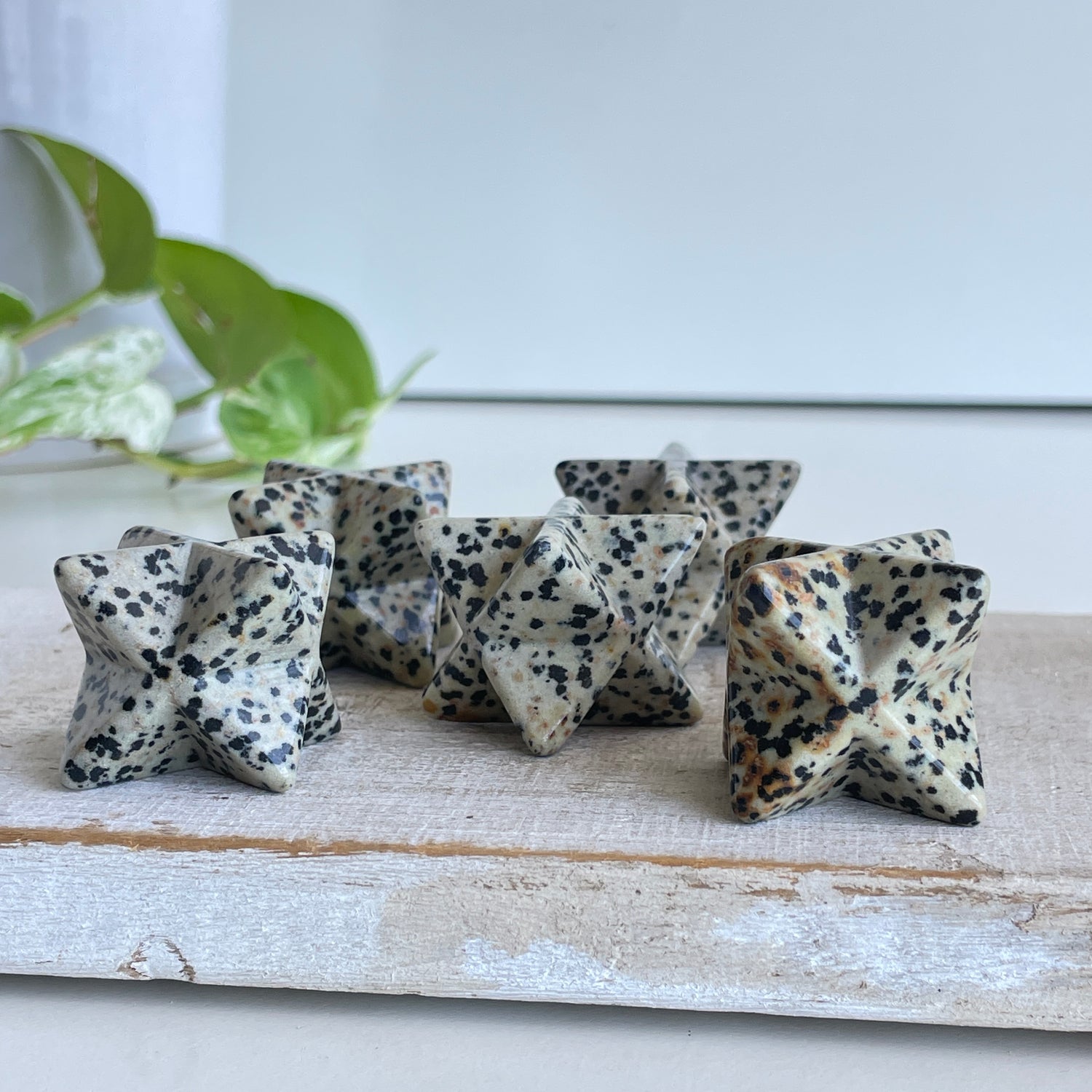Dalmatian Jasper Merkaba 2.5cm