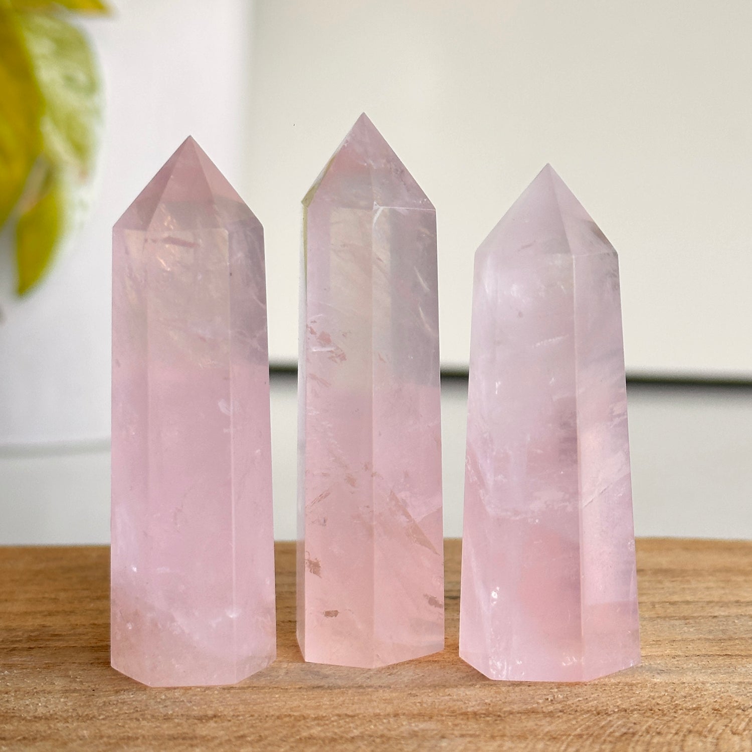 Rose Quartz Generator Tiny Assorted