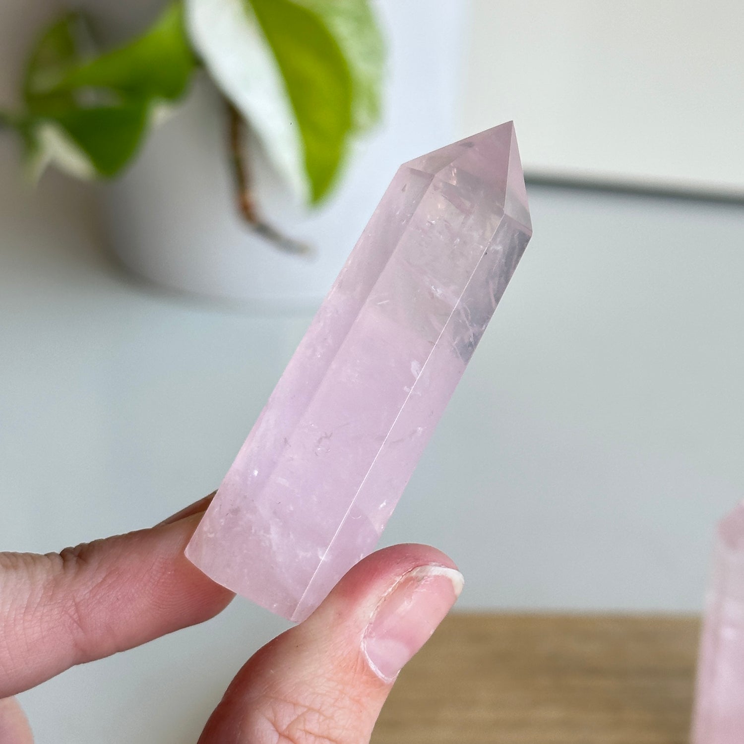 Rose Quartz Generator Tiny Assorted
