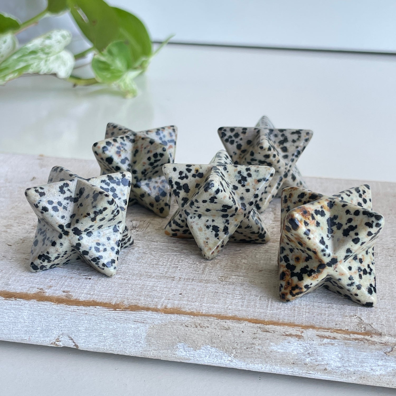 Dalmatian Jasper Merkaba 2.5cm