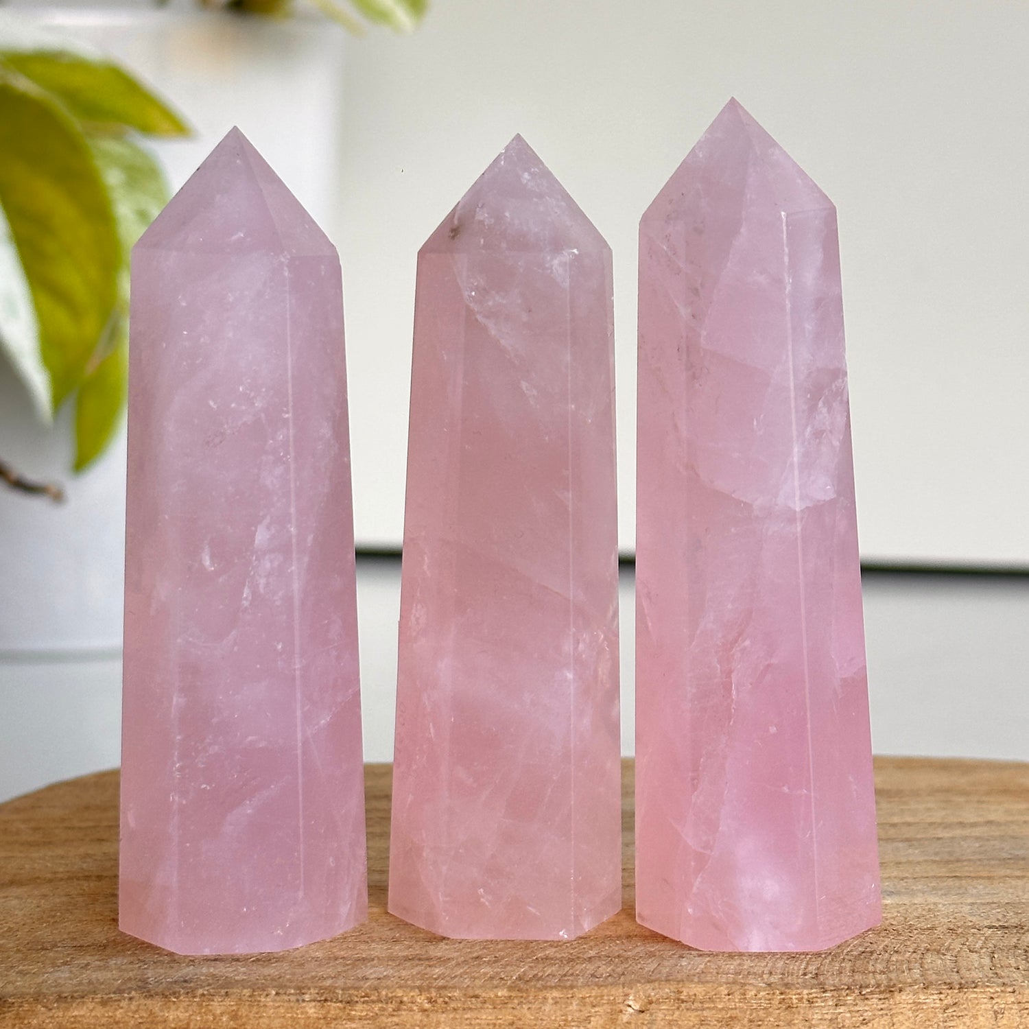Rose Quartz Generator Mini Assorted