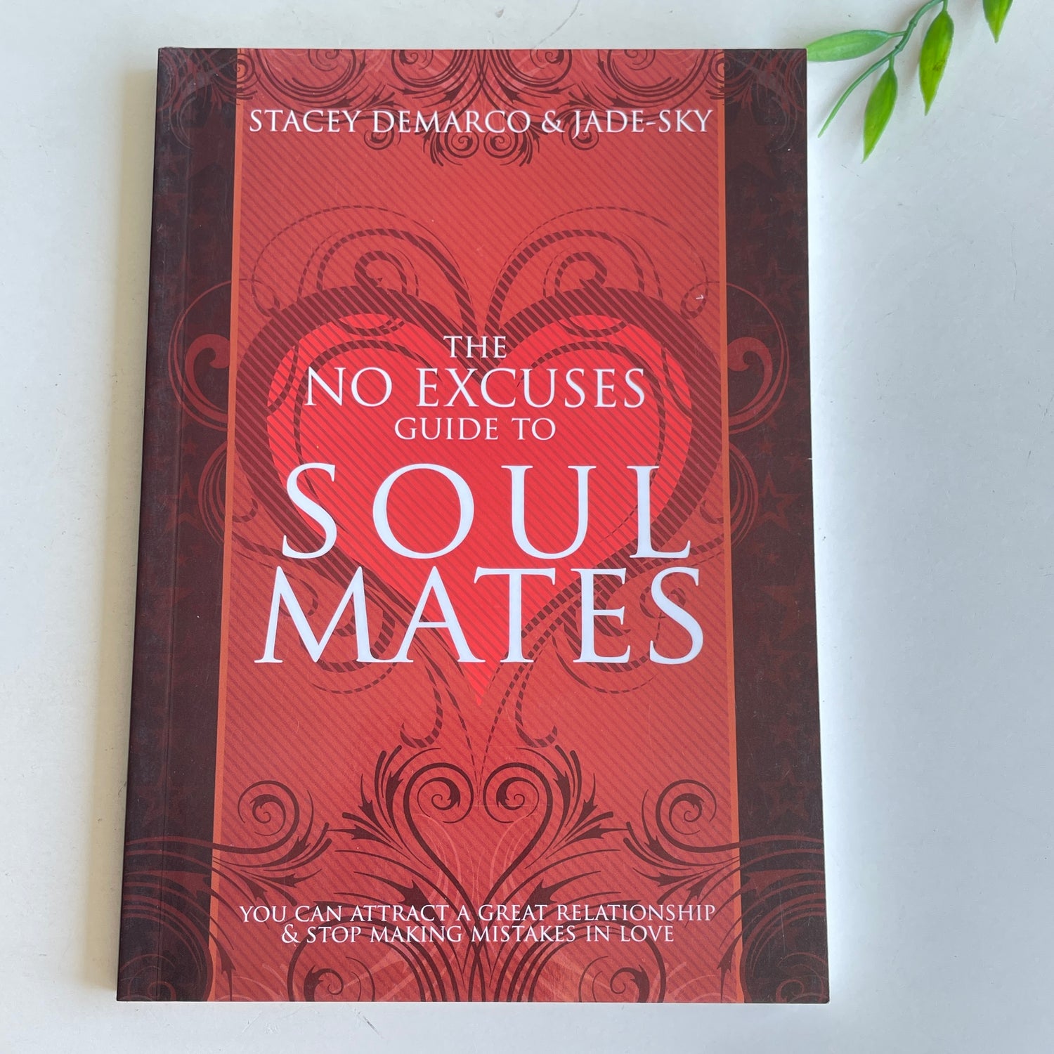 The No Excuses Guide To Soul Mates Stacey DeMarco