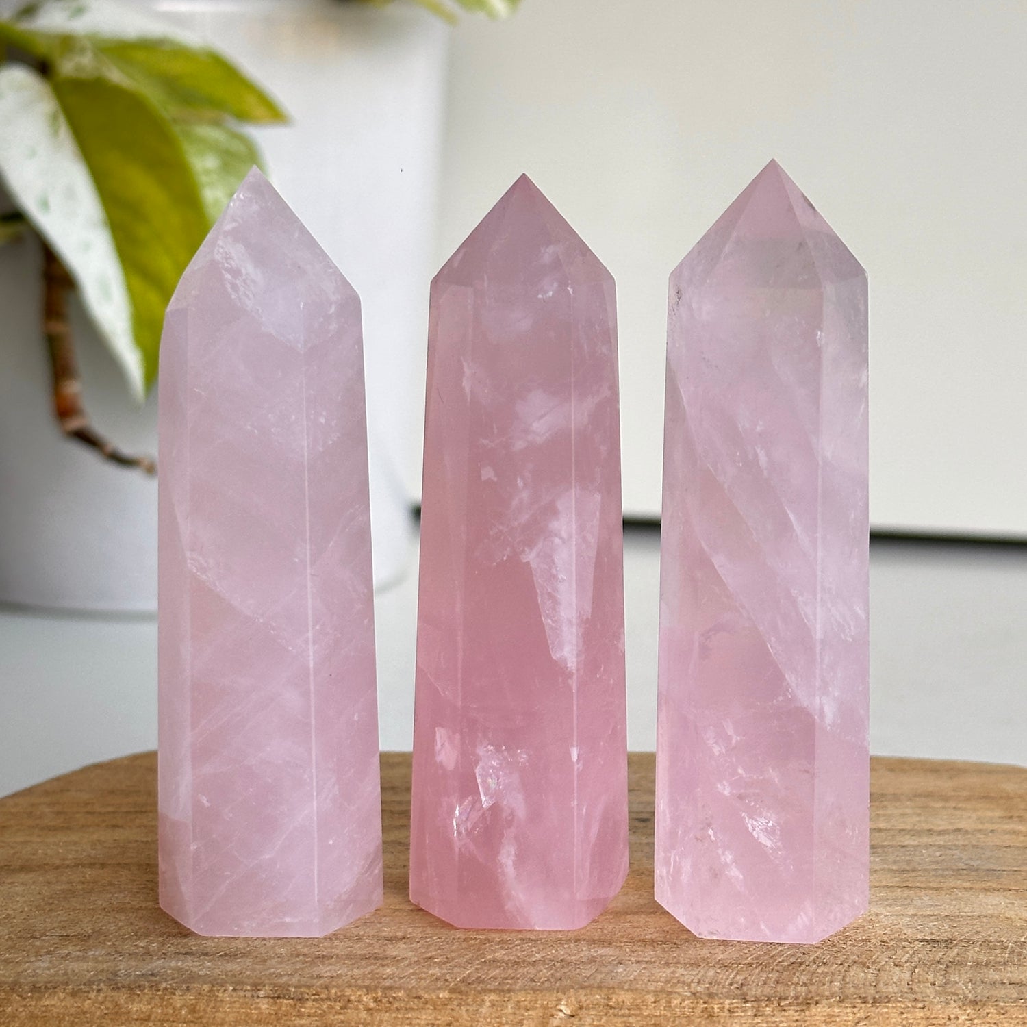 Rose Quartz Generator Small Assorted