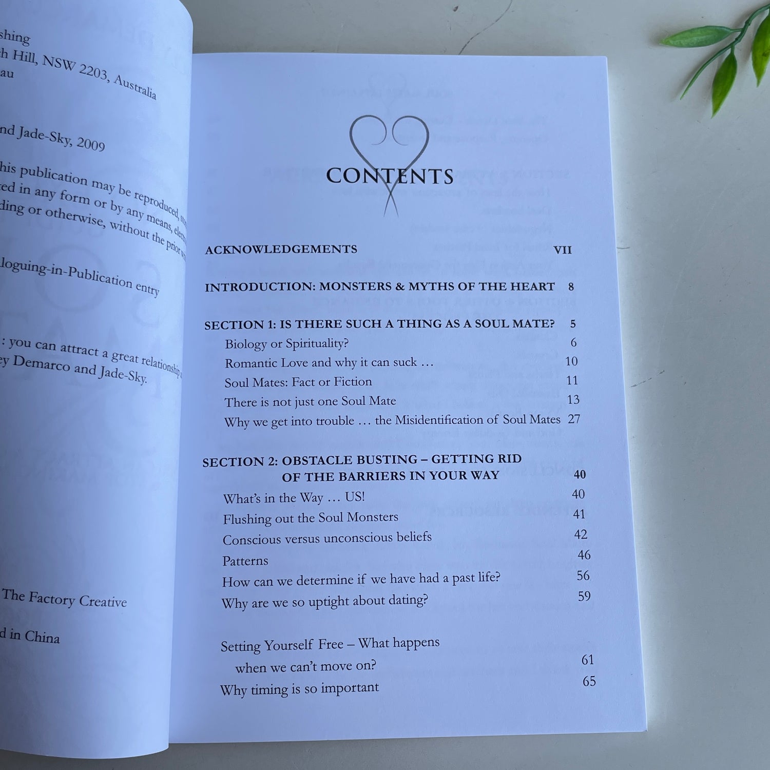 The No Excuses Guide To Soul Mates Stacey DeMarco