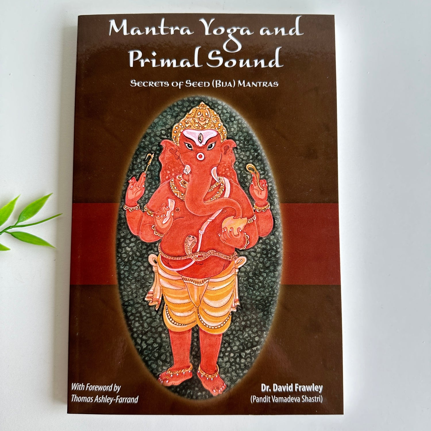 Dr D Frawley Mantra Yoga And Primal Sound