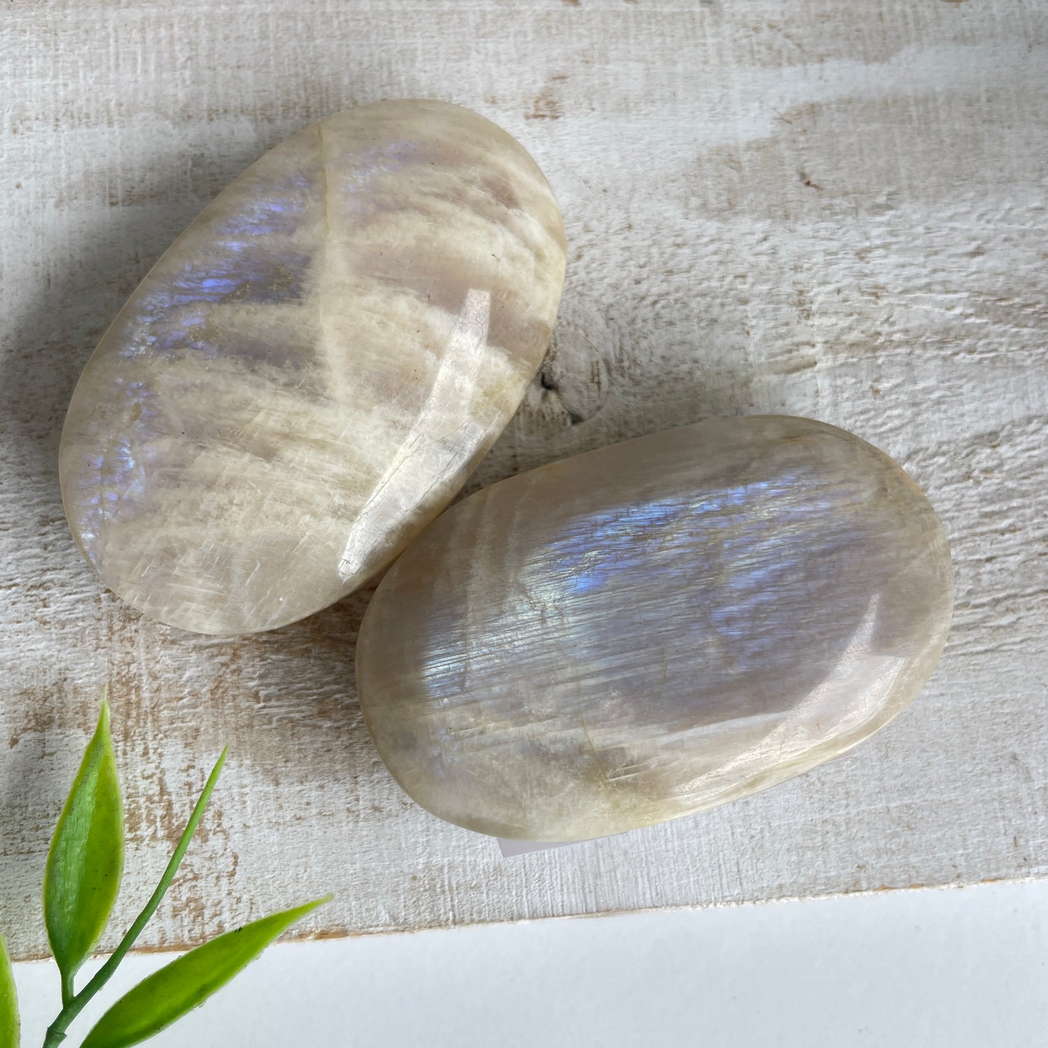 Cream Moonstone Palmstone - High Quality Lge