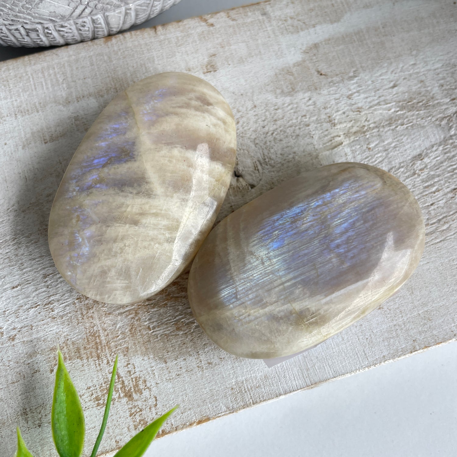 Cream Moonstone Palmstone - High Quality Lge