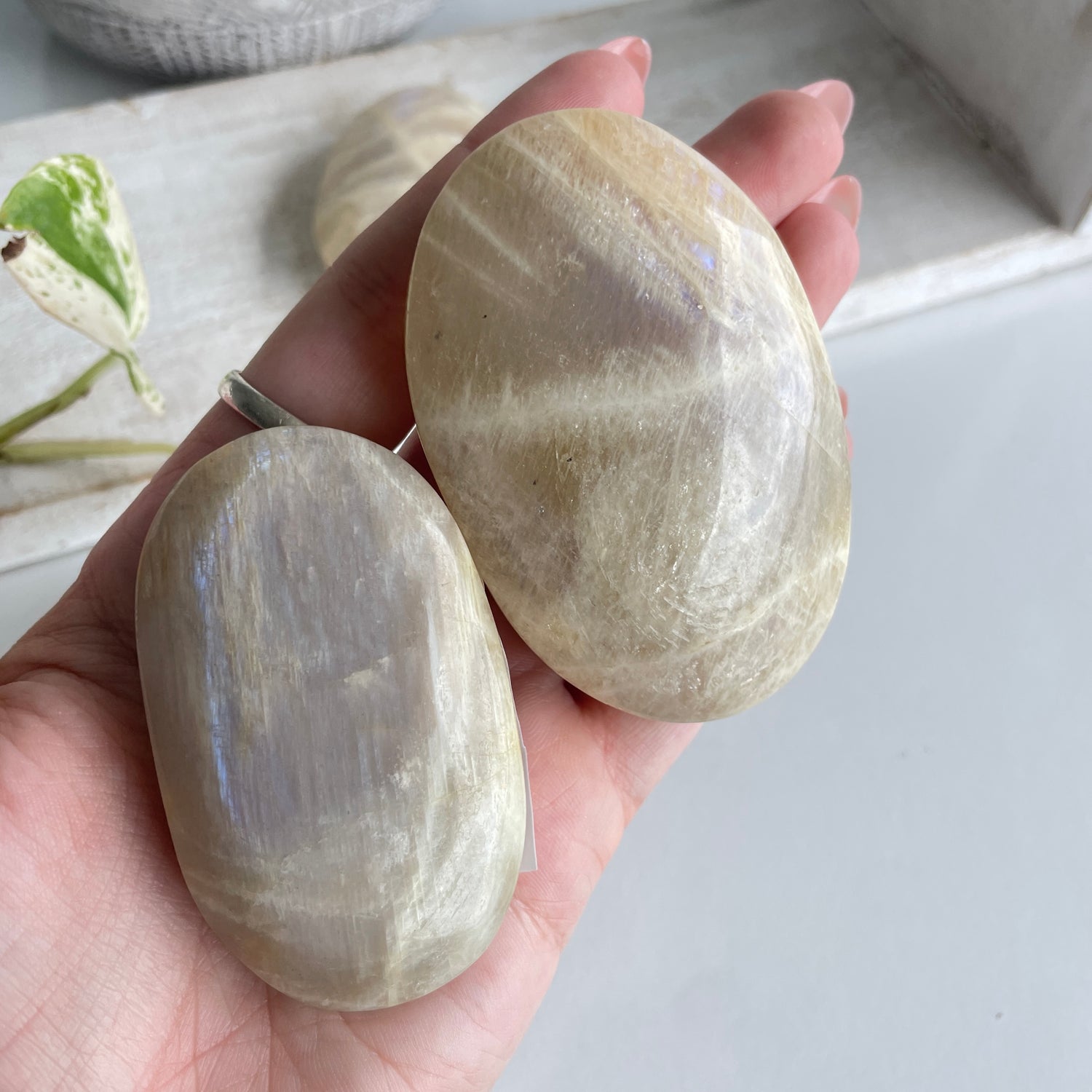 Cream Moonstone Palmstone - High Quality Lge