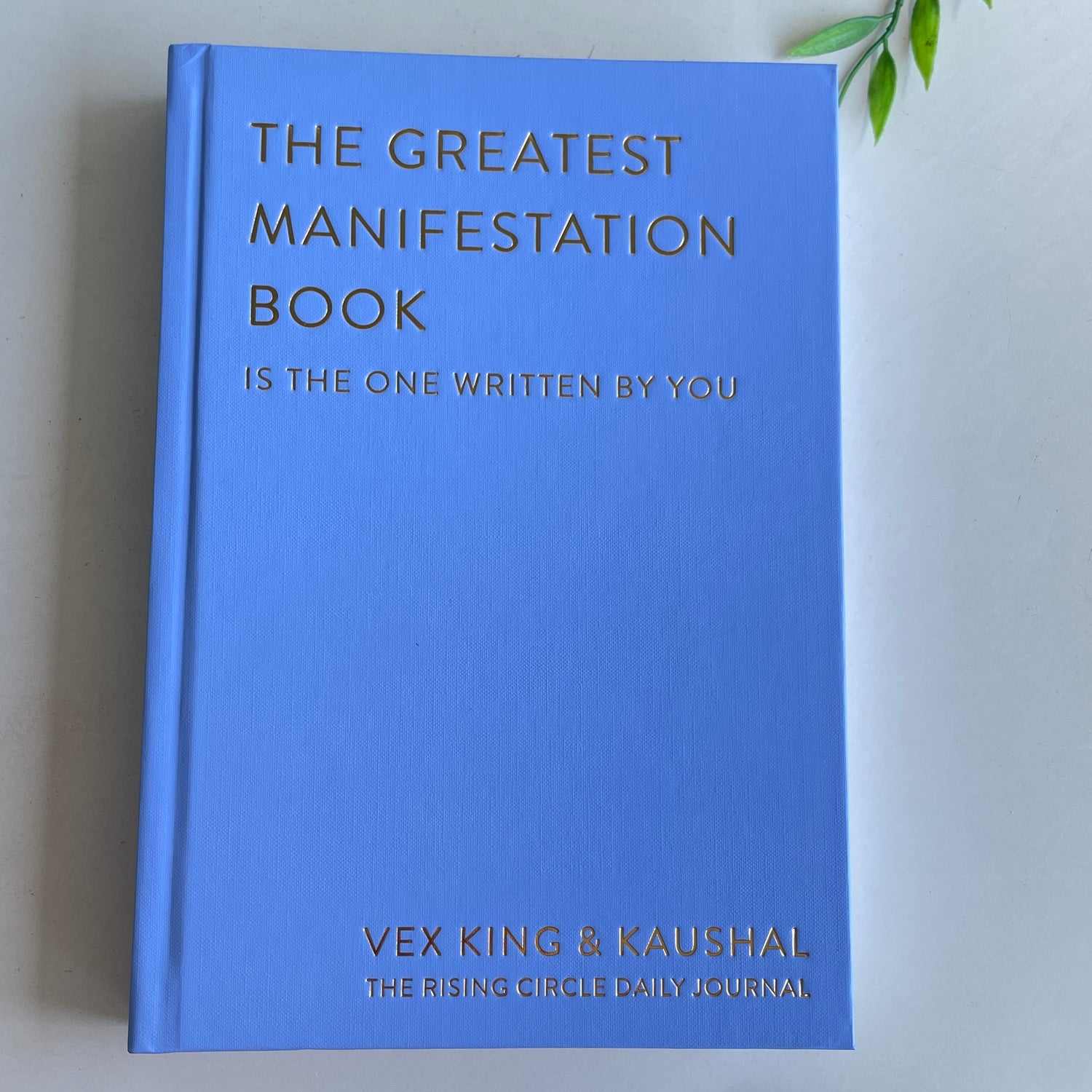 The Greatest Manifestation Book Vex King
