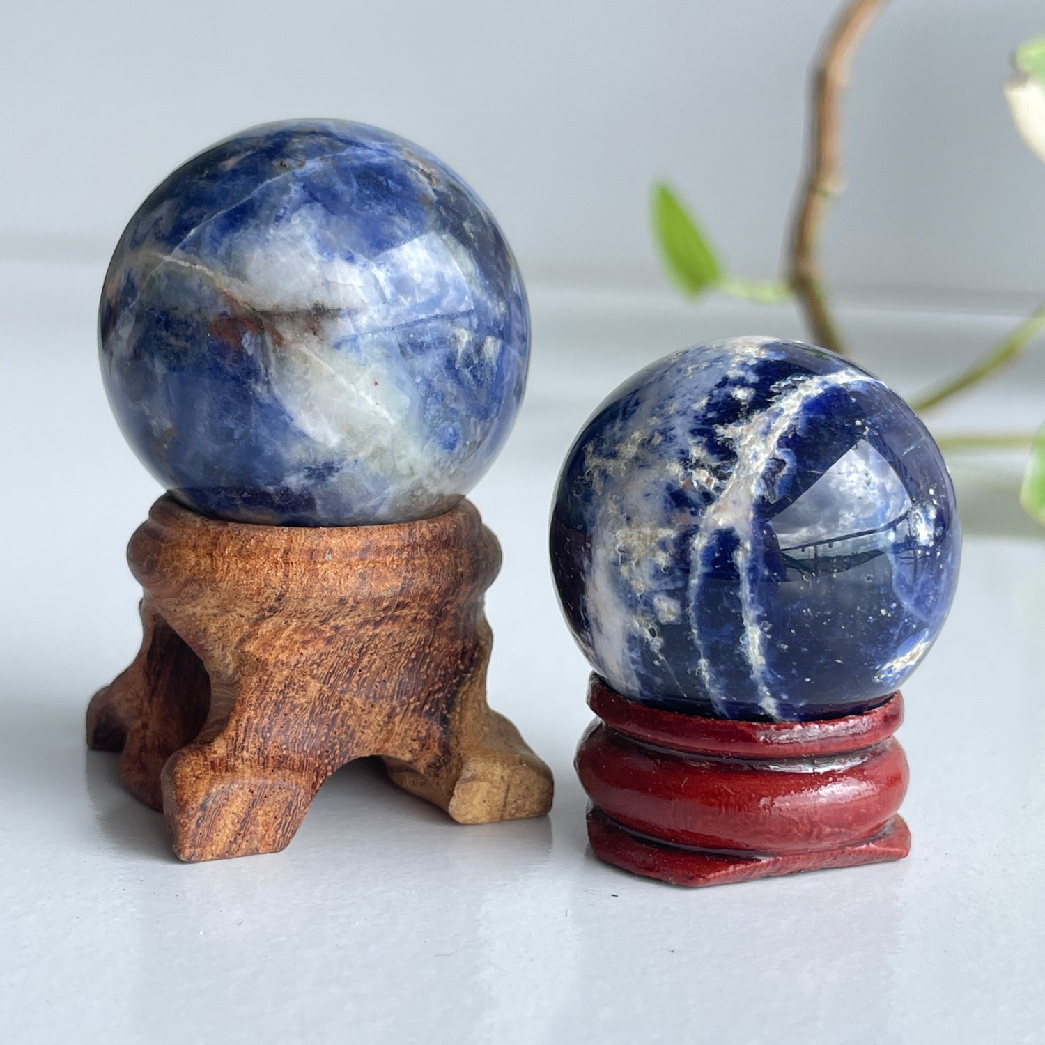 Sodalite Sphere Assorted