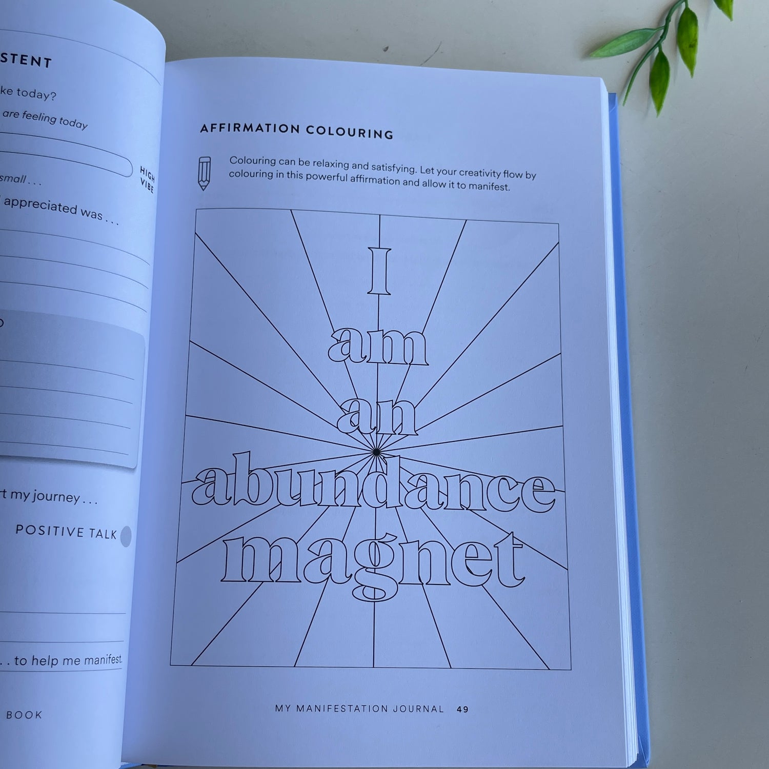The Greatest Manifestation Book Vex King