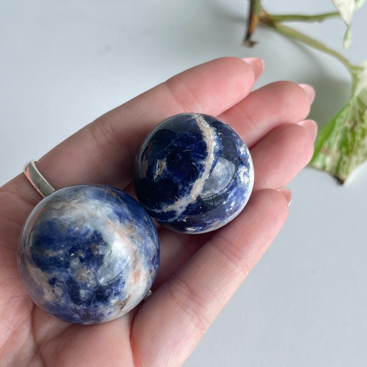 Sodalite Sphere Assorted