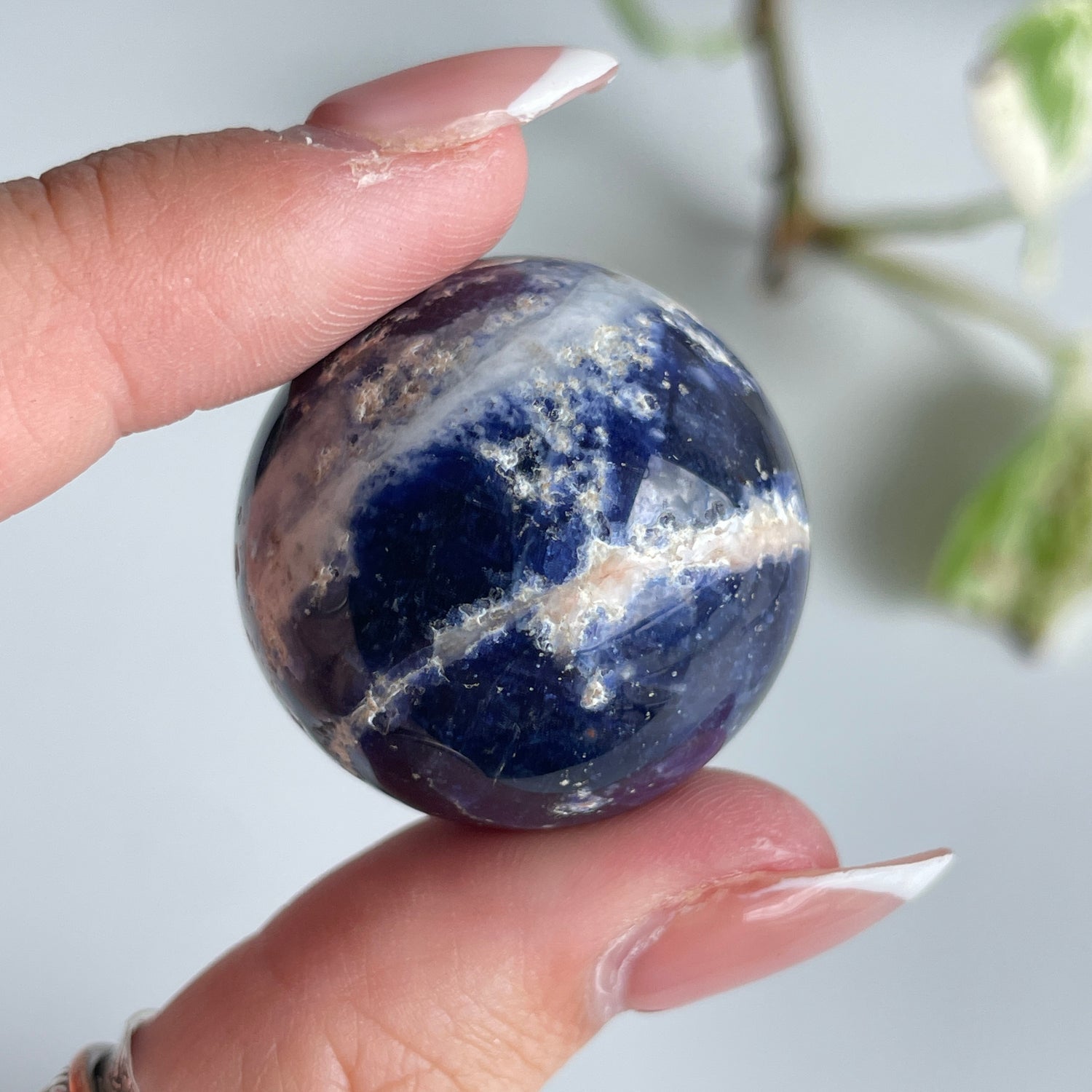 Sodalite Sphere Assorted