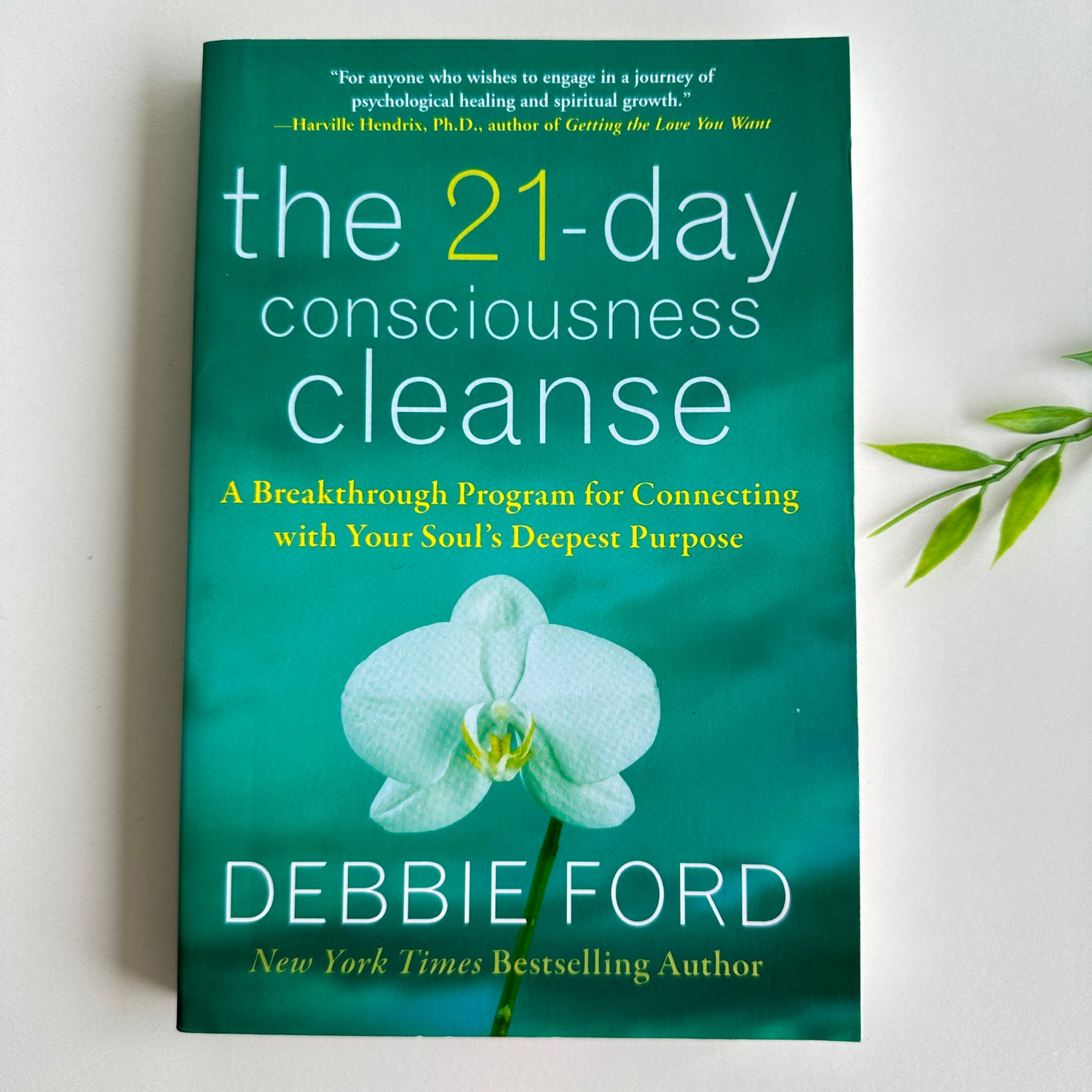 The 21 Day Consciousness Cleanse Debbie Ford