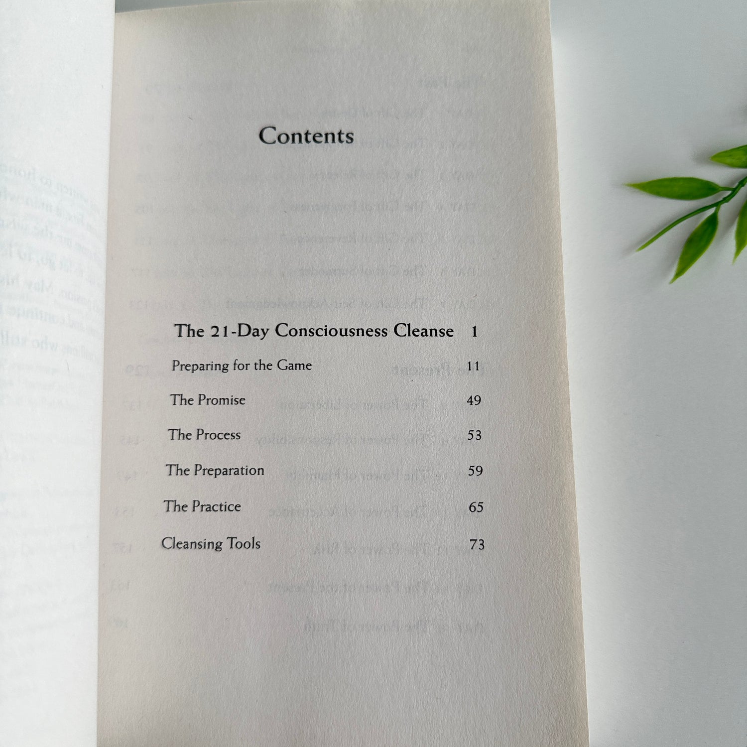 The 21 Day Consciousness Cleanse Debbie Ford