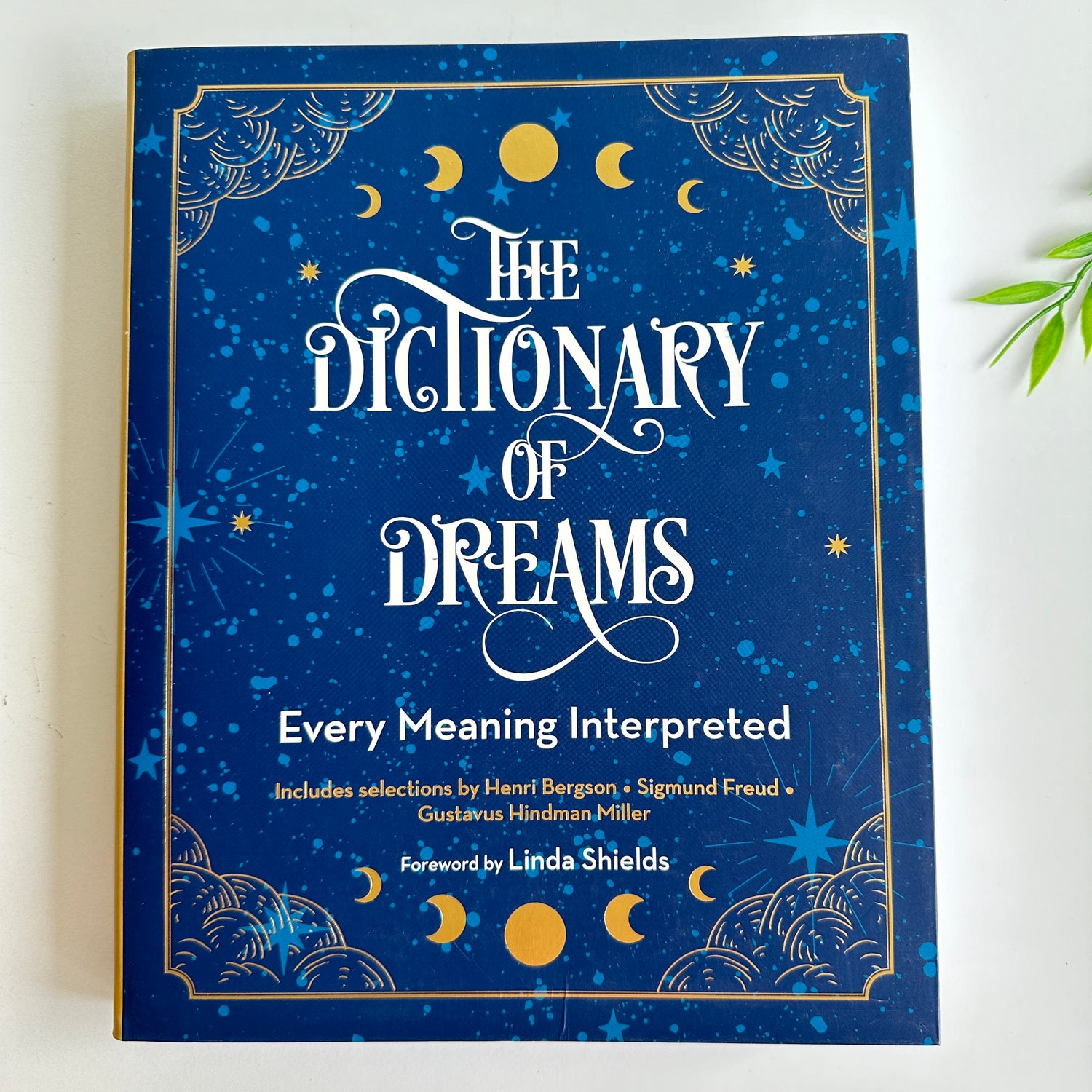 The Dictionary of Dreams Linda Shields