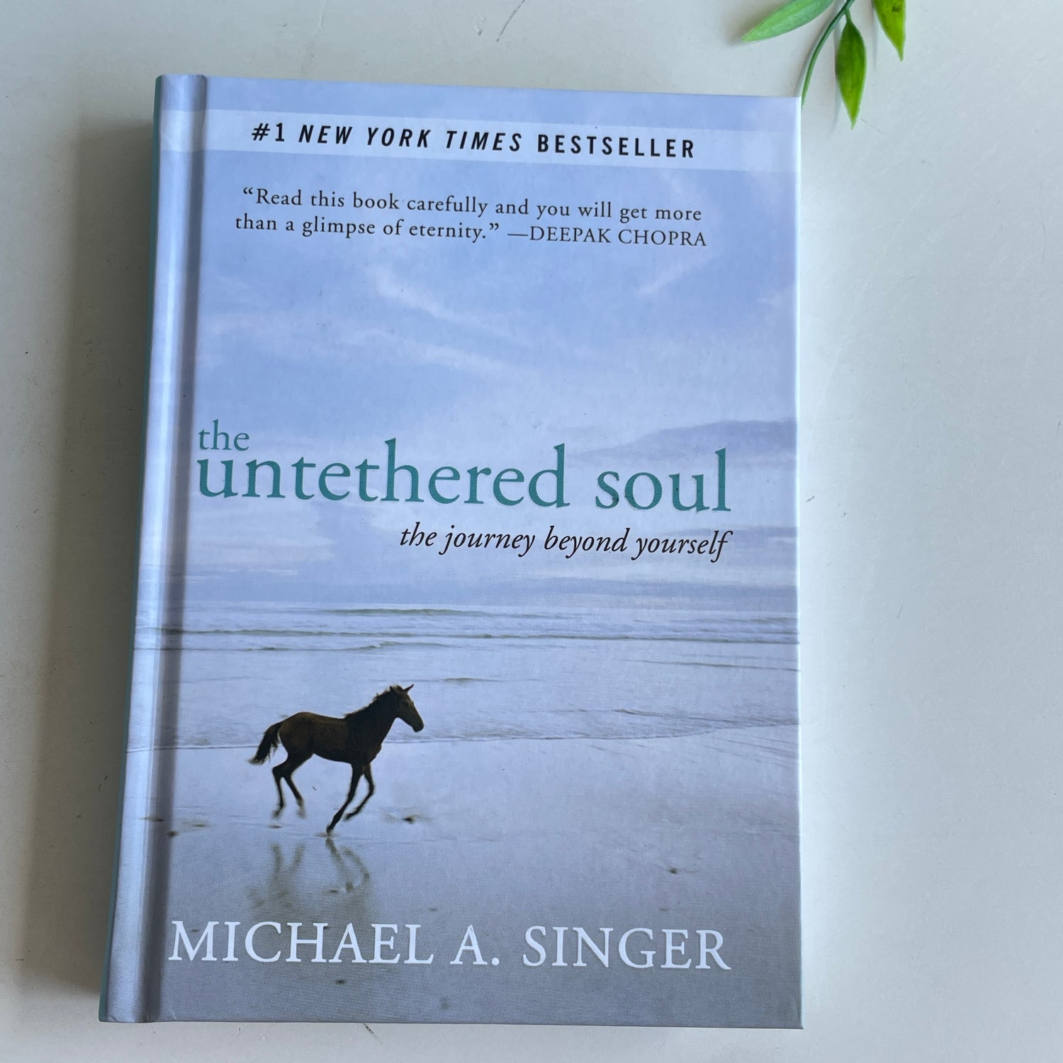 The Untethered Soul Michael Singer Hardback
