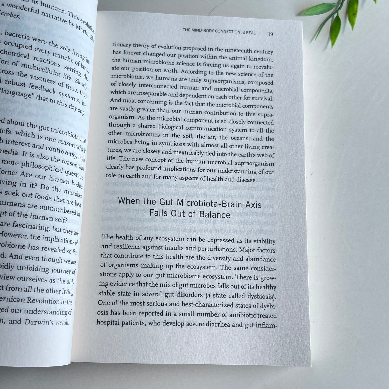 The Mind Gut Connection Emeran Mayer