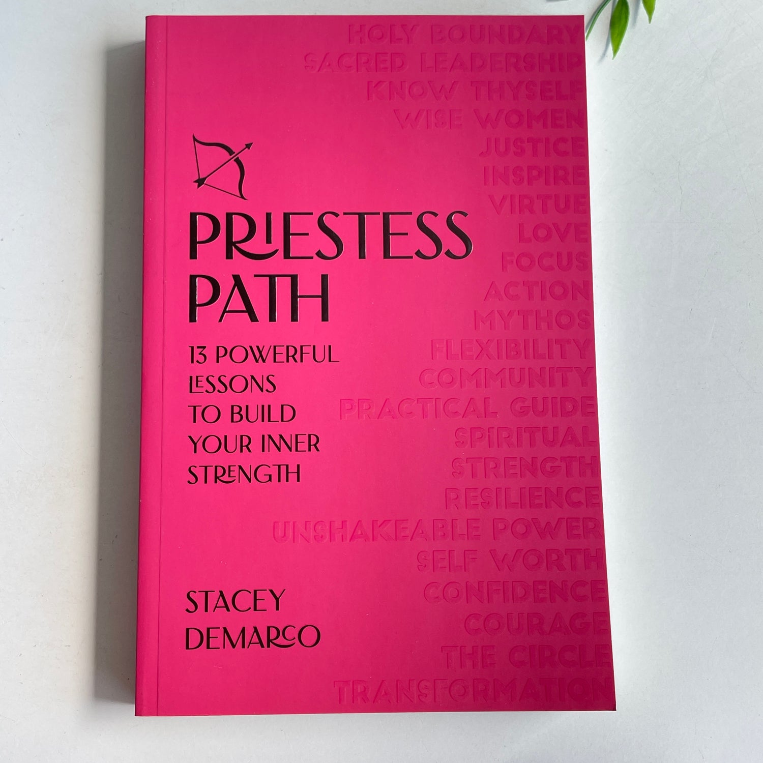 Priestess Path Stacey DeMarco