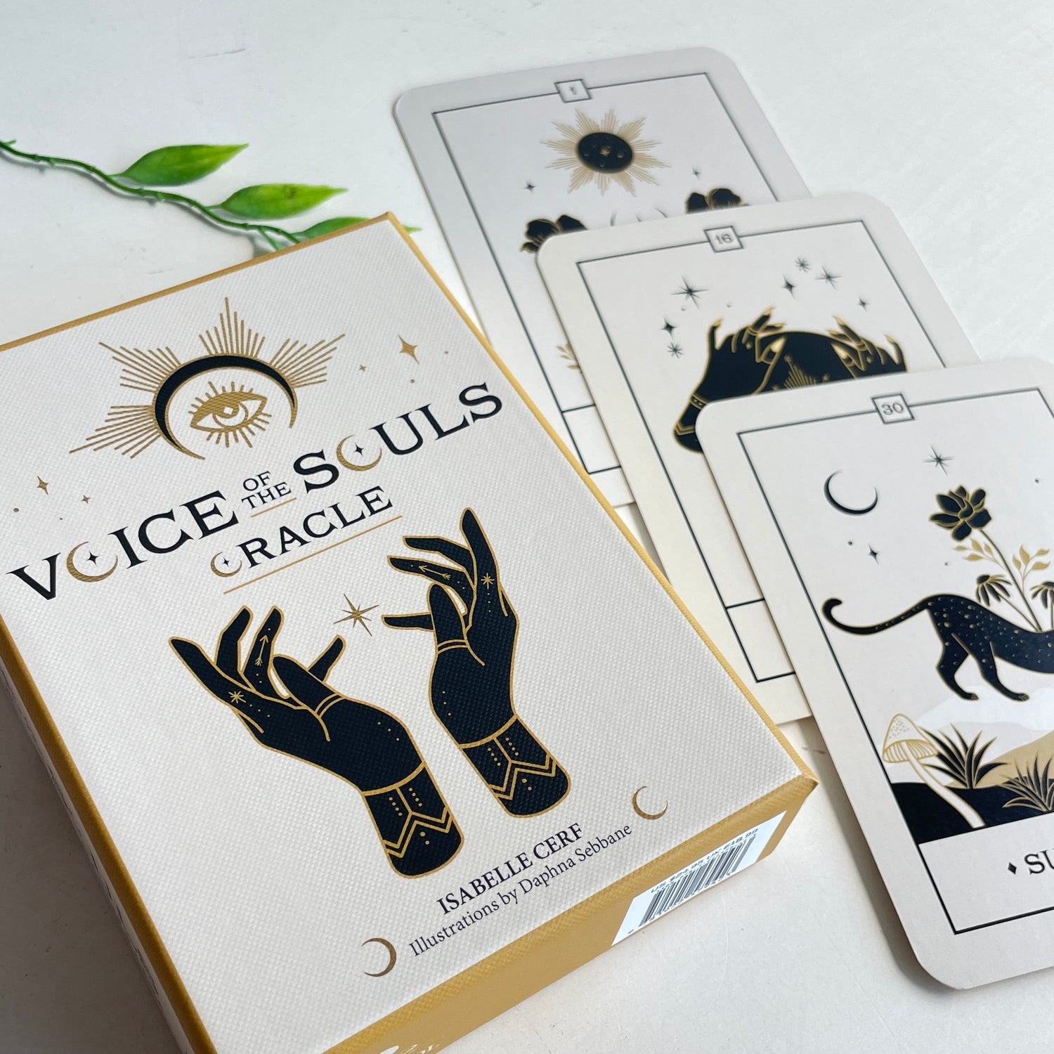 Voice Of The Souls Oracle Isabelle Cerf