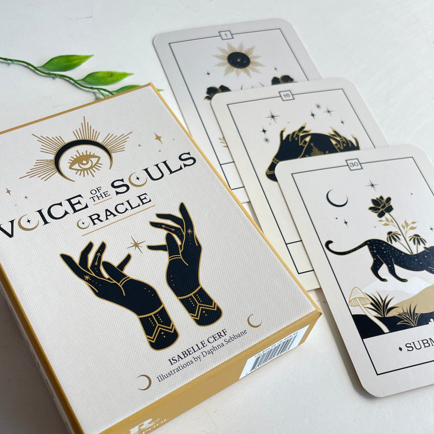 Voice Of The Souls Oracle Isabelle Cerf