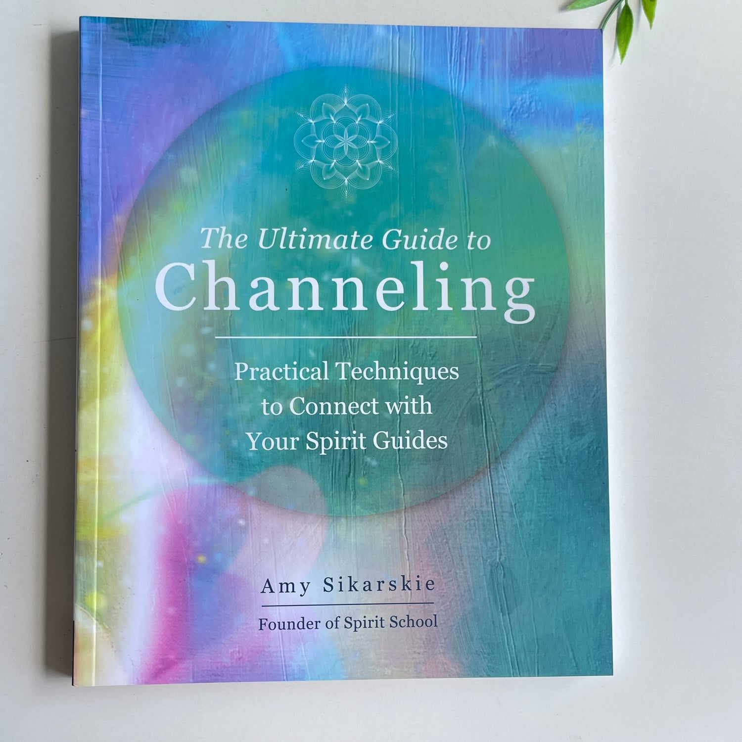 The Ultimate Guide To Channeling Amy Sikarskie