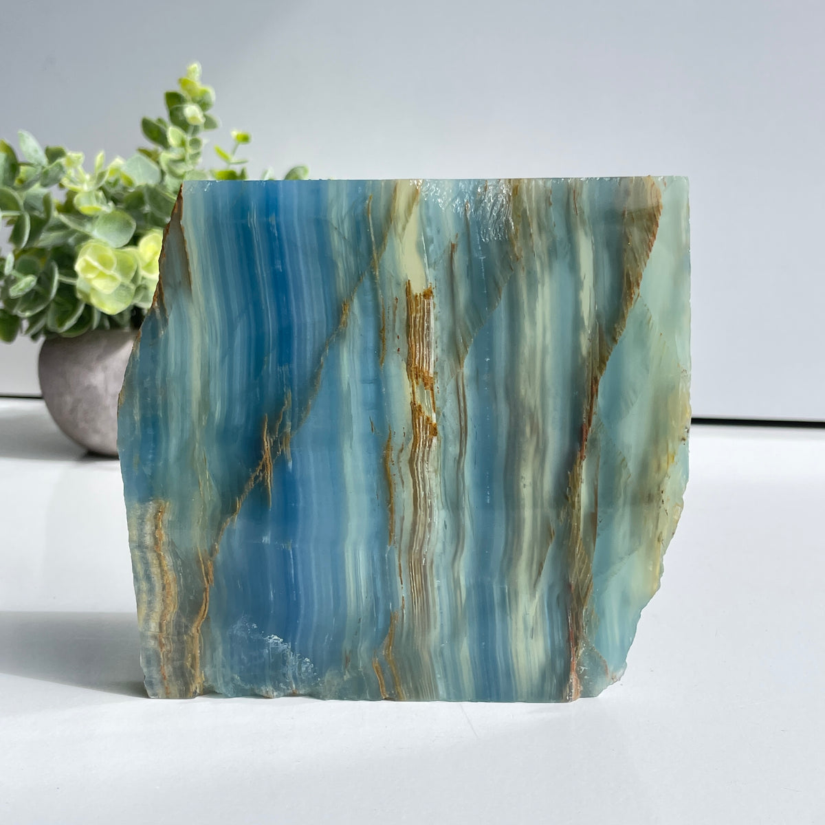 Blue Onyx Slice 432g