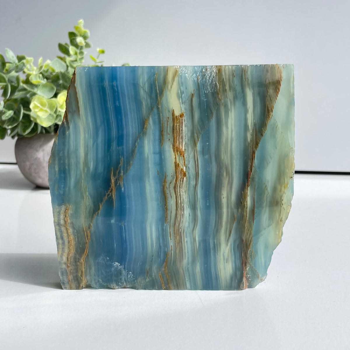 Blue Onyx Slice 432g
