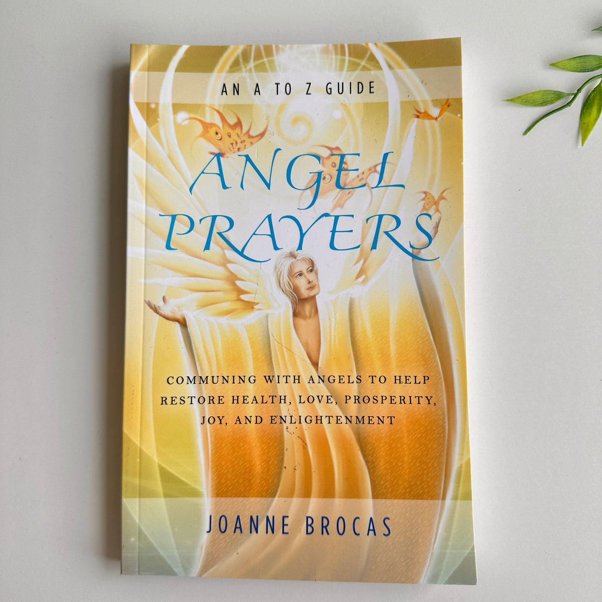 Angel Prayers Joanne Brocas