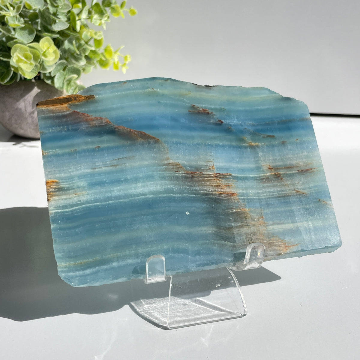 Blue Onyx Slice 390g