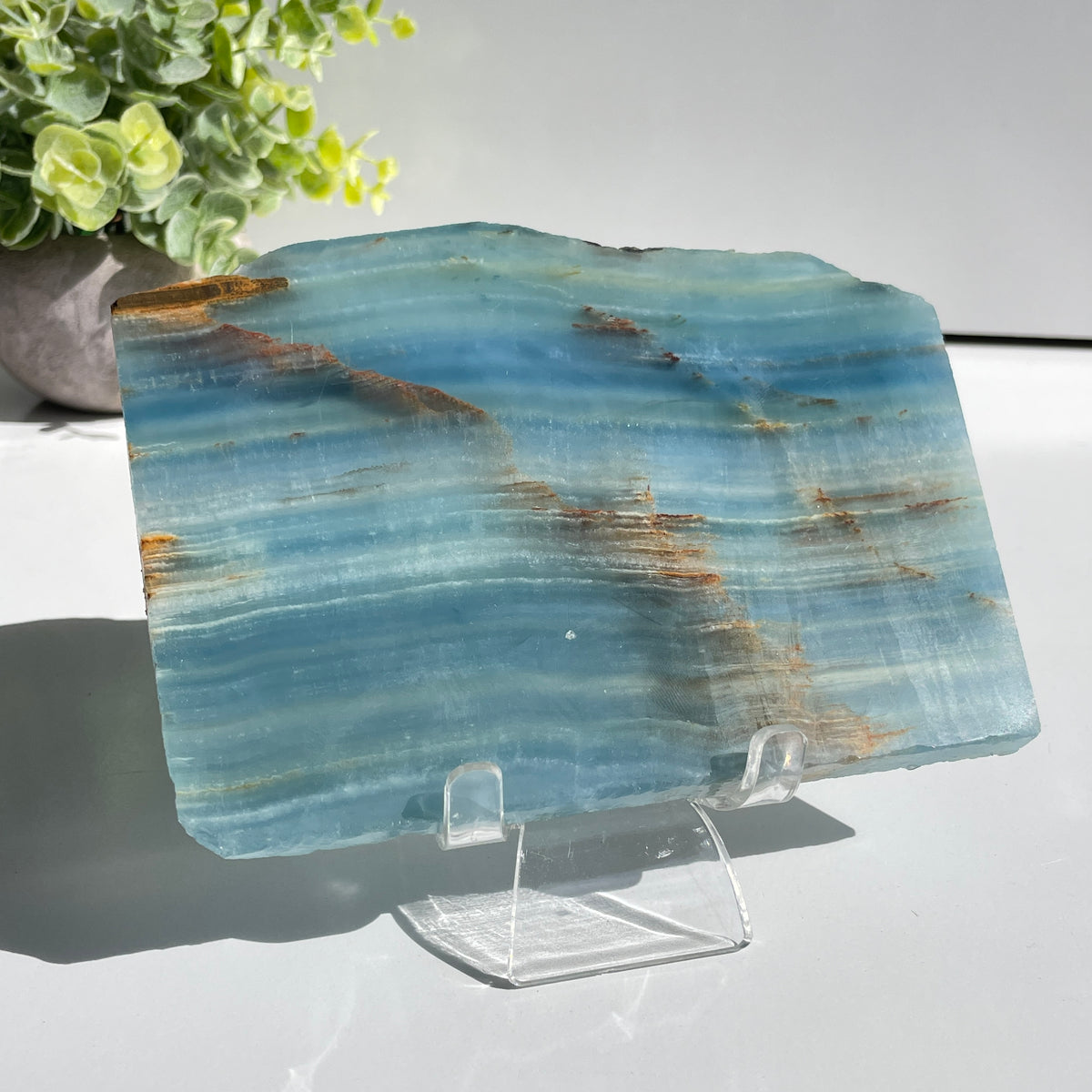 Blue Onyx Slice 390g