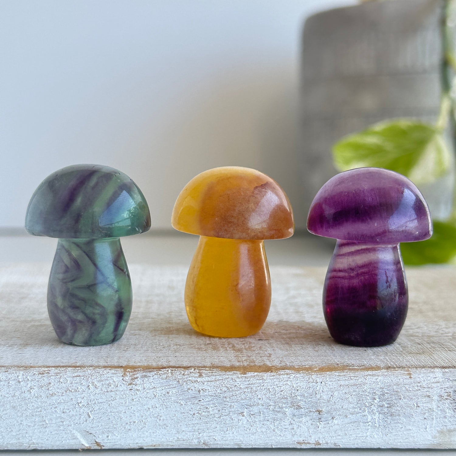 Fluorite Mushroom Small Assorted