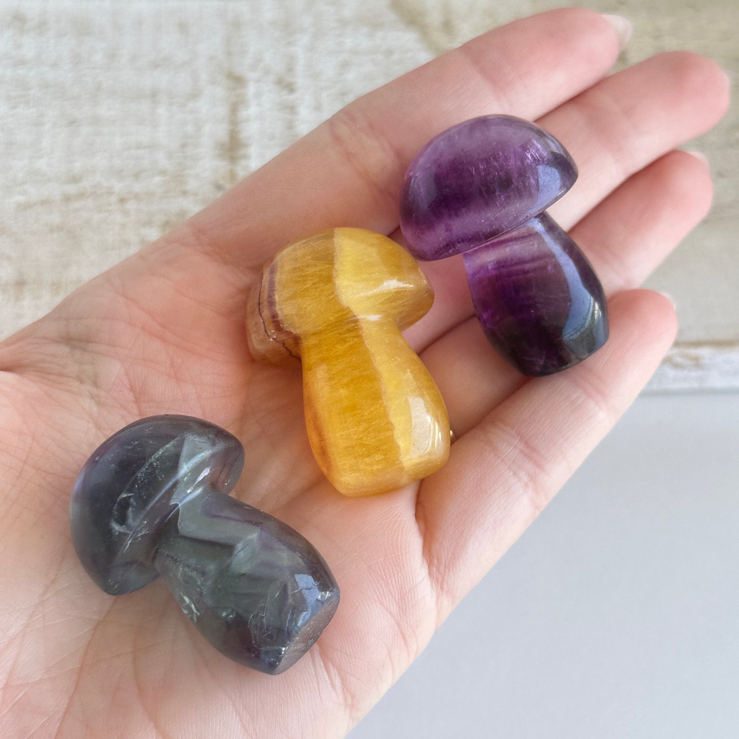 Fluorite Mushroom Small Assorted