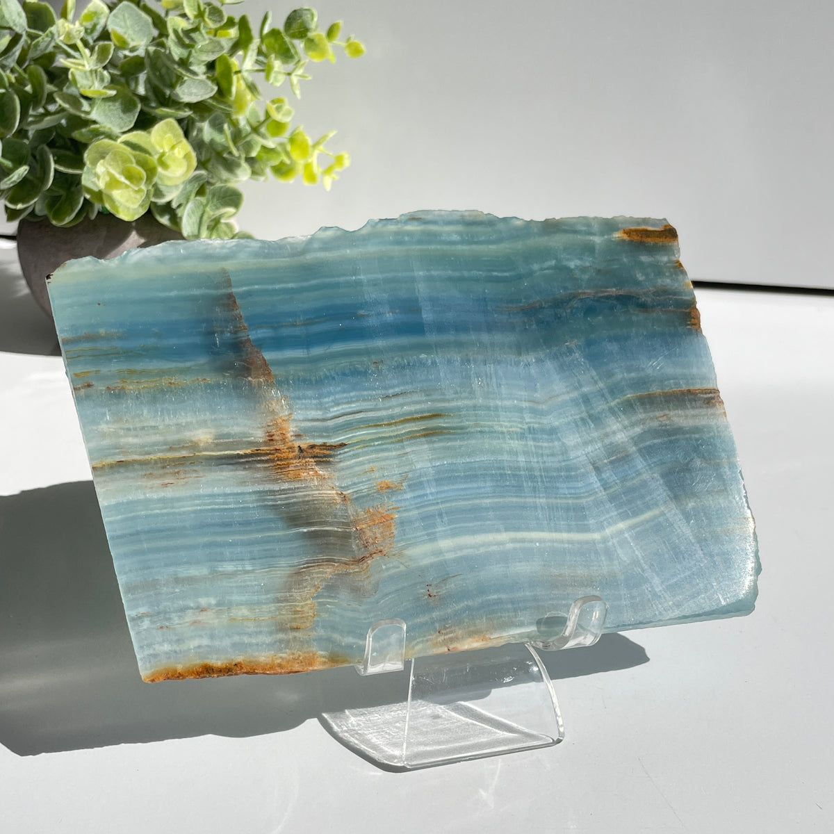 Blue Onyx Slice 454g