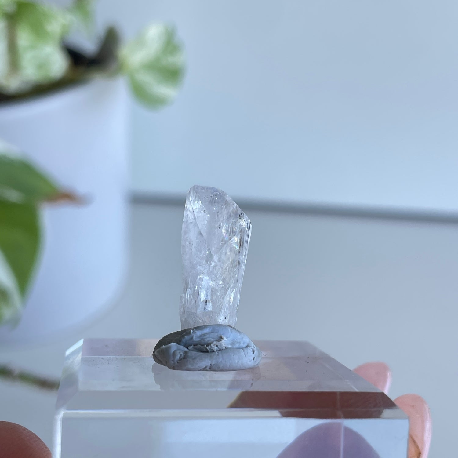 Danburite Pce 2.16g
