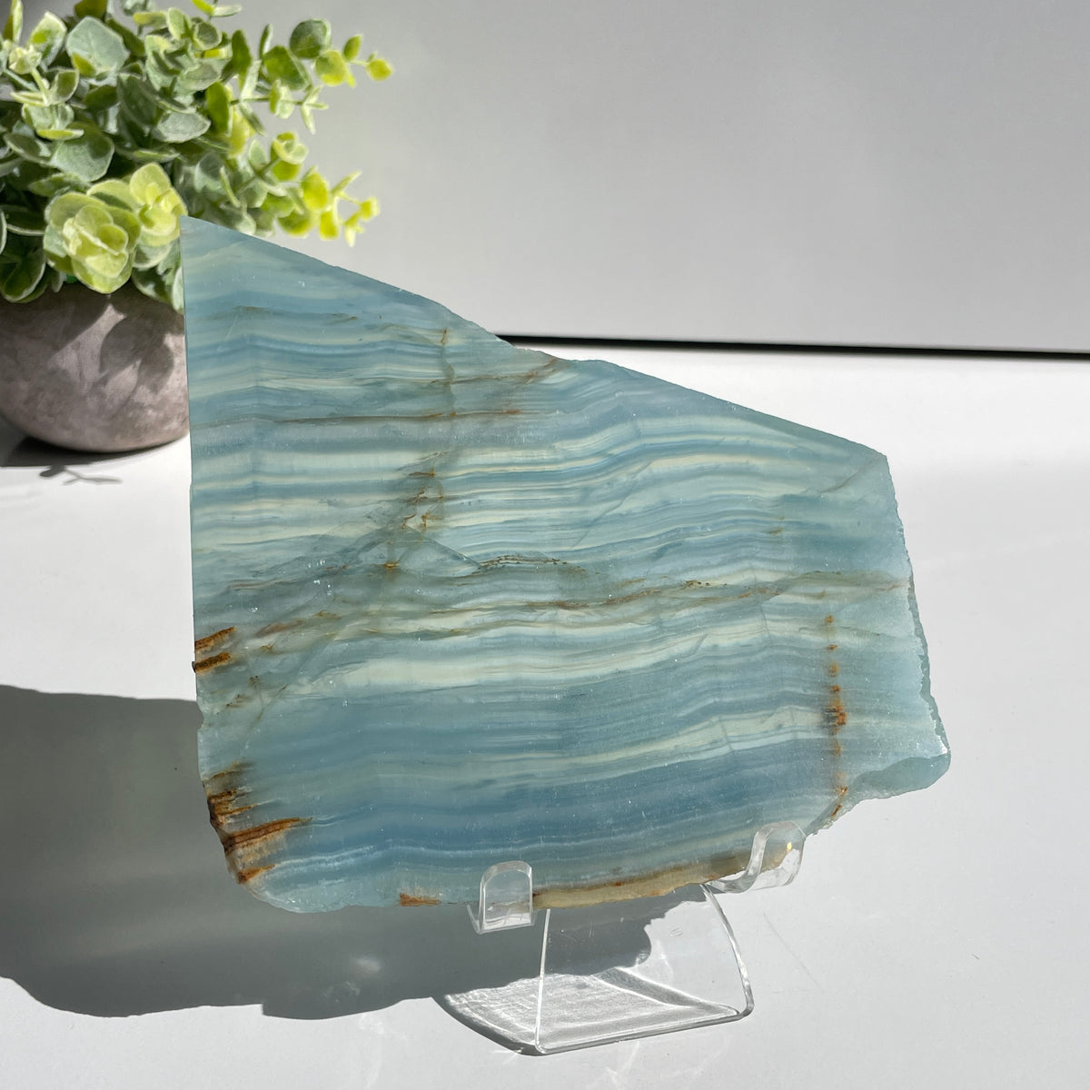 Blue Onyx Slice 352g