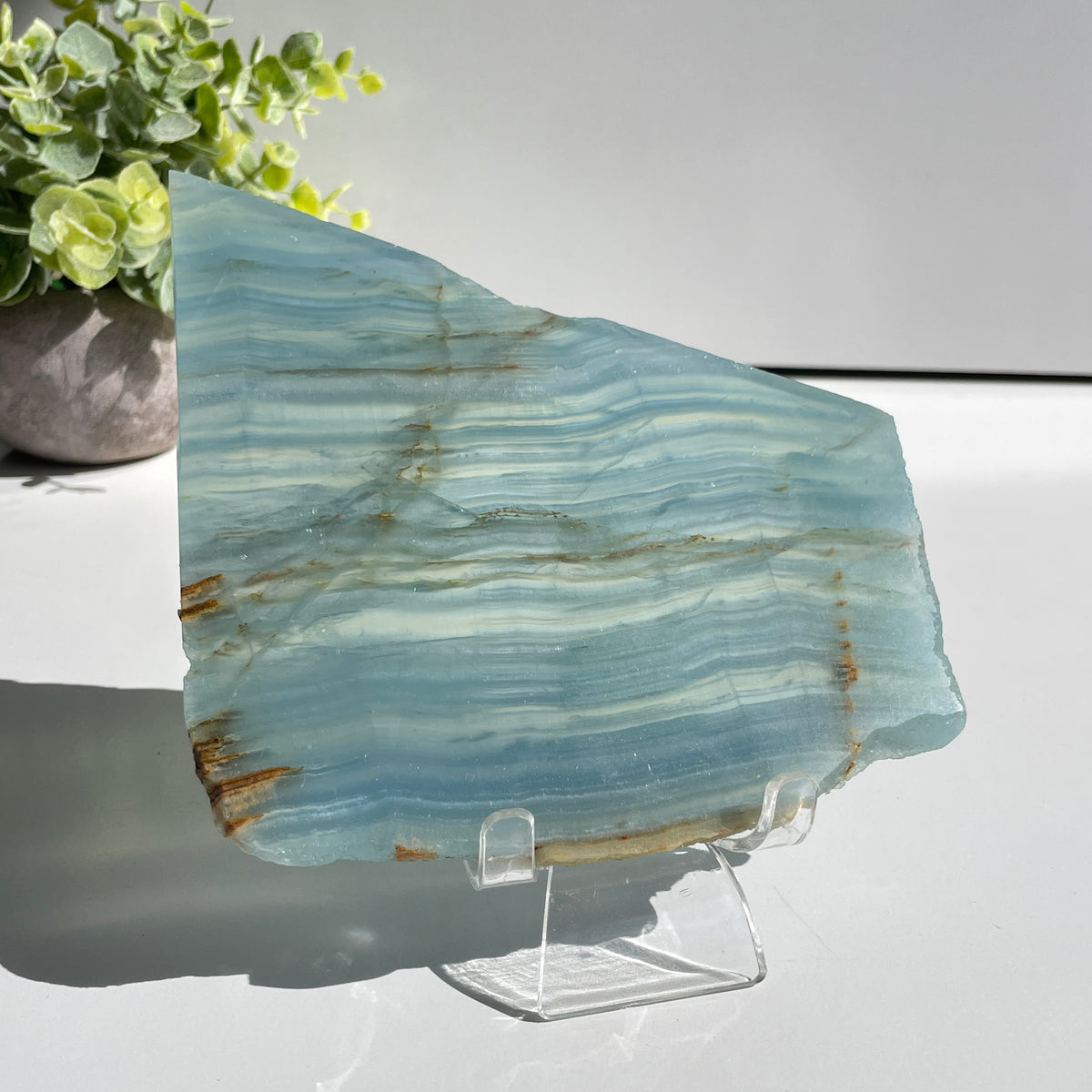 Blue Onyx Slice 352g