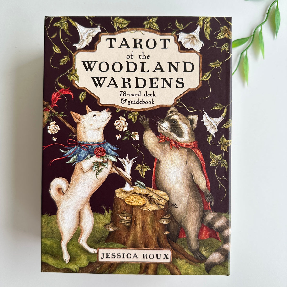 Woodland Wardens Tarot Cards Jessica Roux