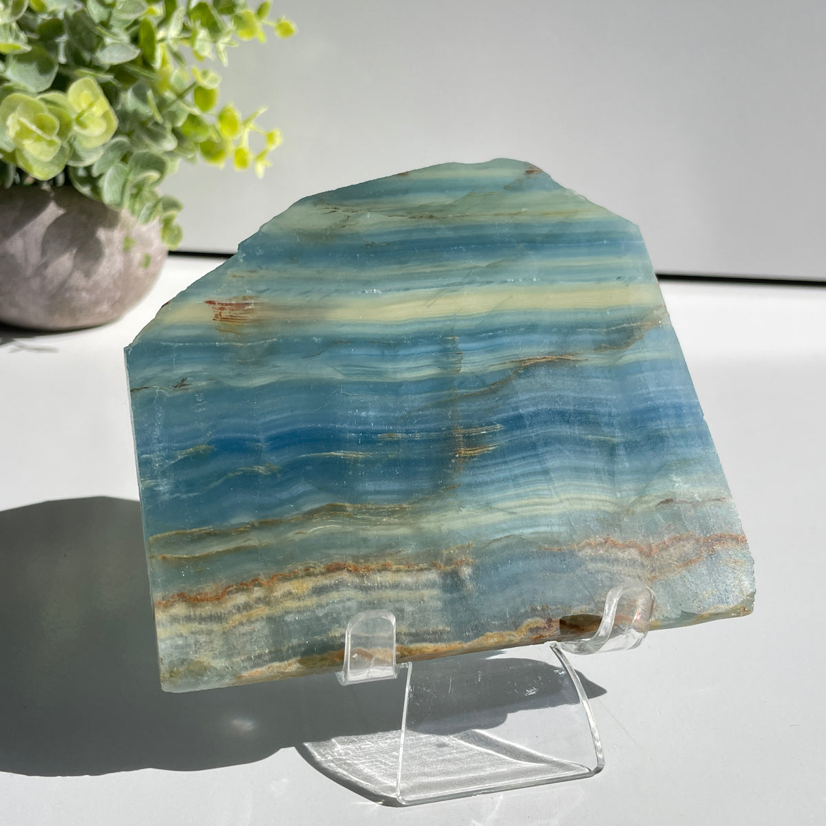 Blue Onyx Slice 296g