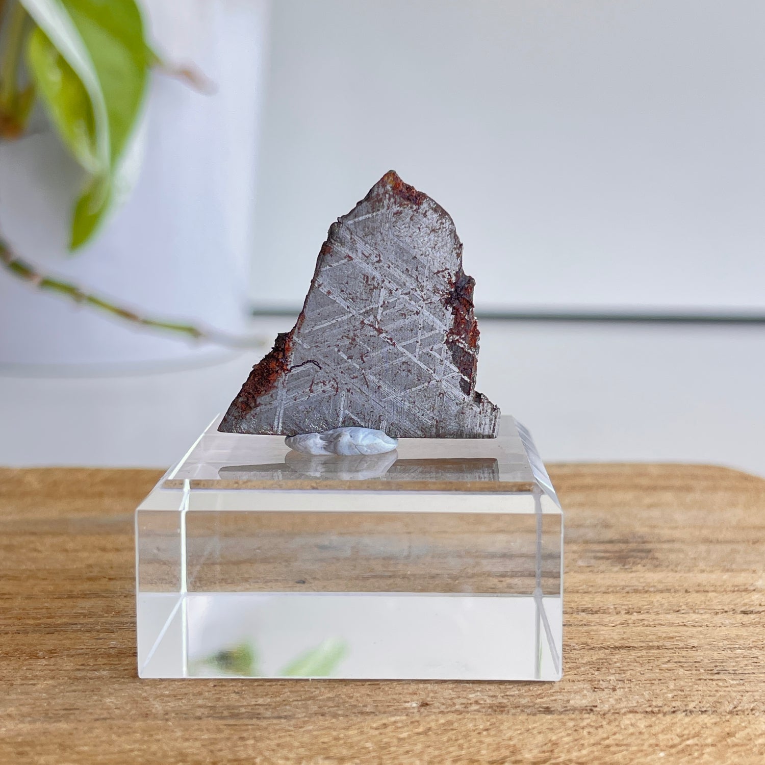 Muonionalusta Meteorite Slice 8.28g