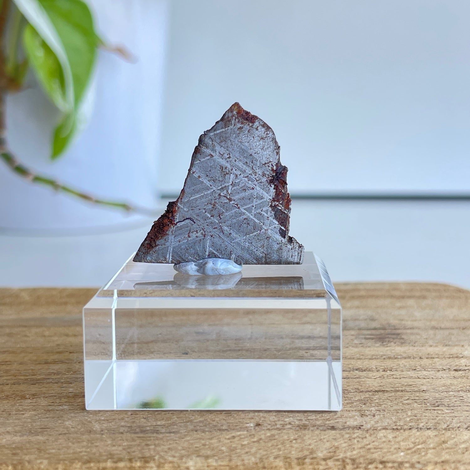Muonionalusta Meteorite Slice 8.28g