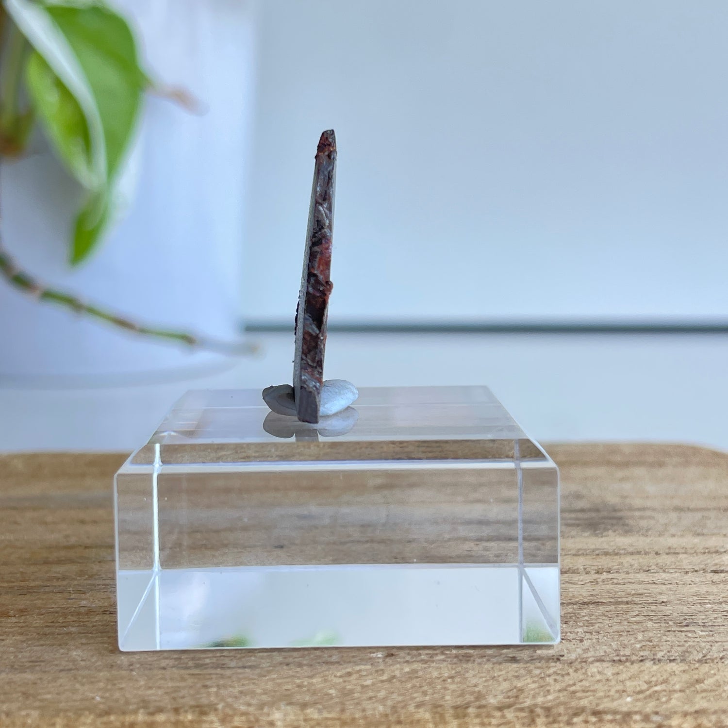 Muonionalusta Meteorite Slice 8.28g