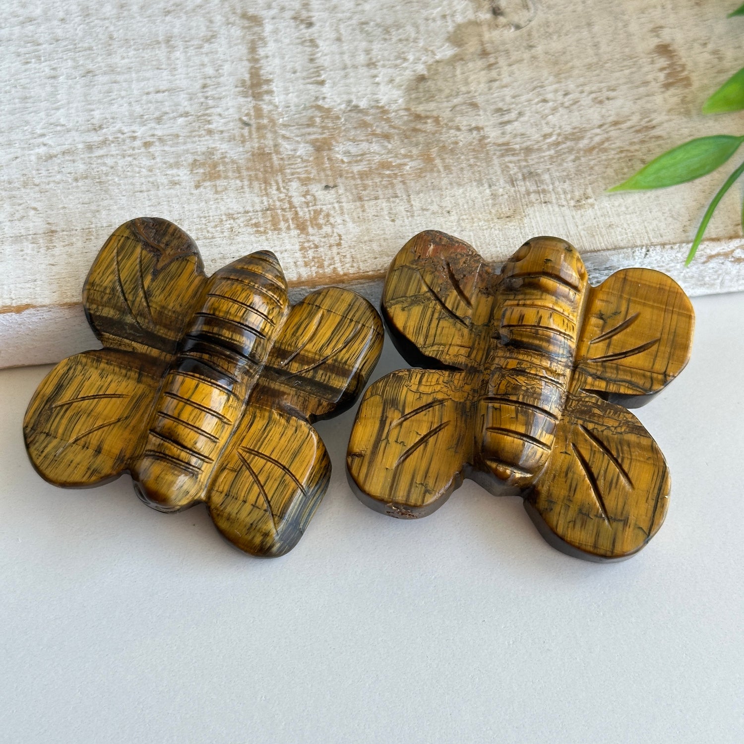 Tigers Eye Bumblebee