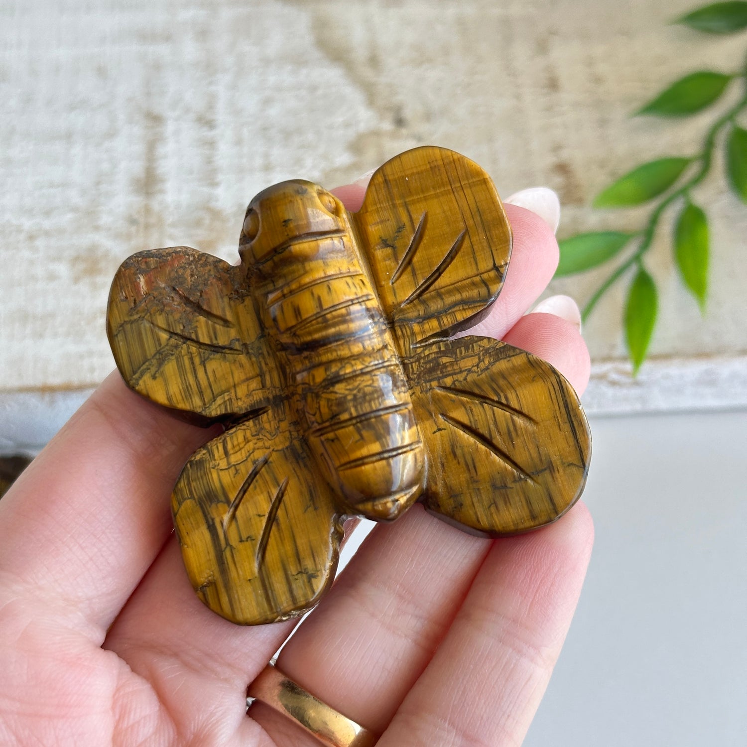 Tigers Eye Bumblebee