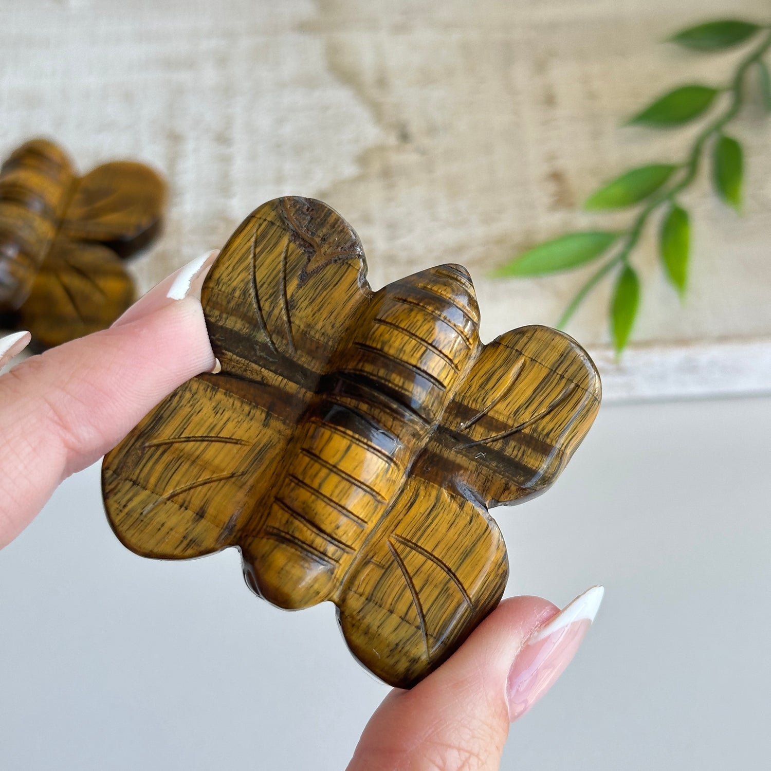 Tigers Eye Bumblebee
