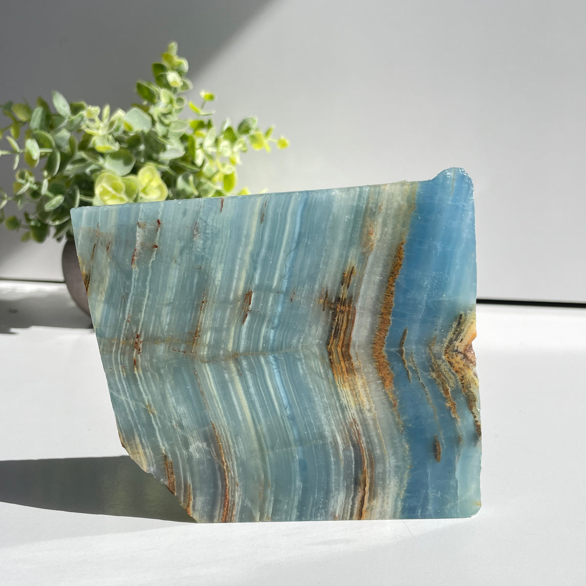 Blue Onyx Slice 282g