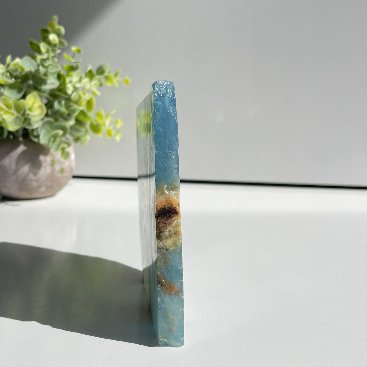 Blue Onyx Slice 282g